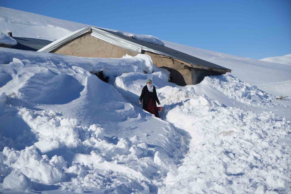 Muş’ta 1800 Rakımlı Köy Kara Gömüldü.. Evler Kar Altında, Ulaşım Tünellerle Sağlanıyor