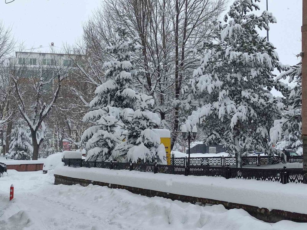 Ardahan’da Kar Yeniden Etkili Oldu.. Ekipler Ulaşım İçin Aralıksız Çalışıyor!