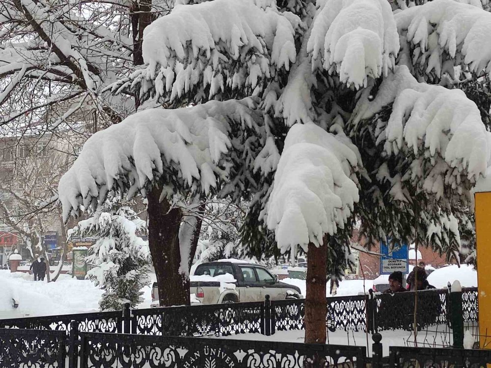 Ardahan’da Kar Yeniden Etkili Oldu.. Ekipler Ulaşım İçin Aralıksız Çalışıyor!