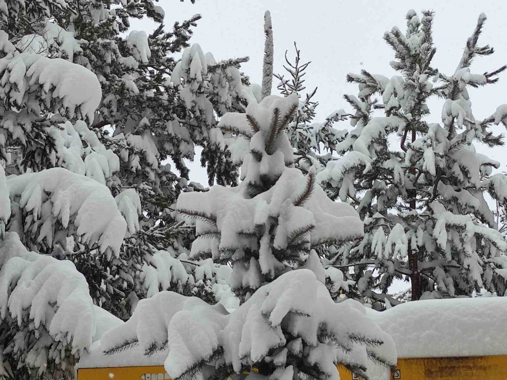 Ardahan’da Kar Yeniden Etkili Oldu.. Ekipler Ulaşım İçin Aralıksız Çalışıyor!