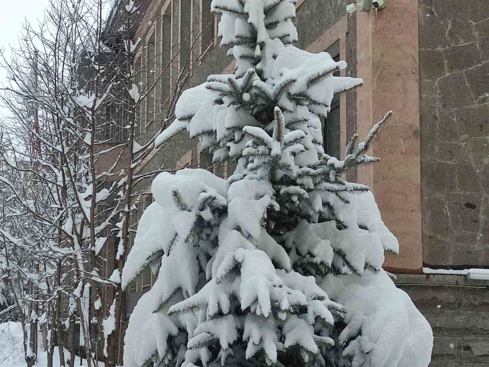 Ardahan’da Kar Yeniden Etkili Oldu.. Ekipler Ulaşım İçin Aralıksız Çalışıyor!