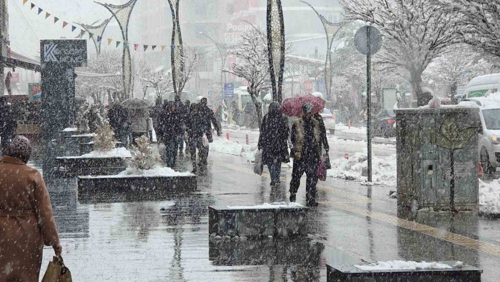 Van’da Kar Yağışı Ve Sis Etkili Oluyor