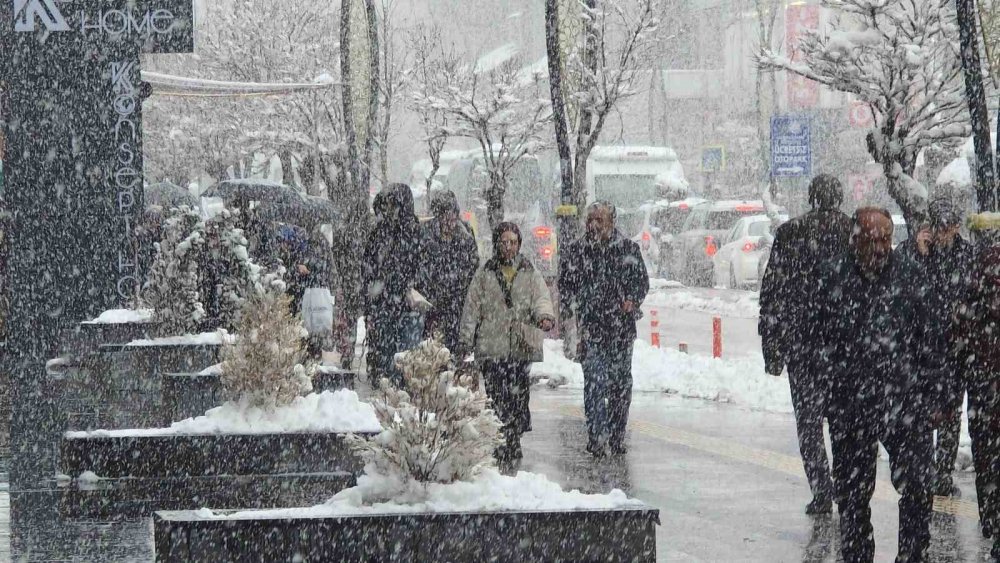 Van’da Kar Yağışı Ve Sis Etkili Oluyor