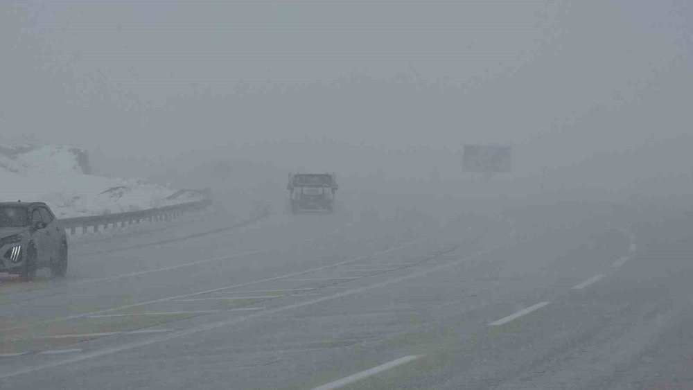 Van’da Kar Yağışı Ve Sis Etkili Oluyor