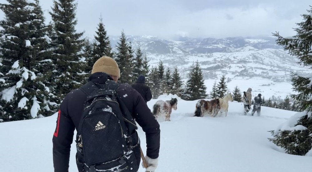 Artvin’de Zorlu Kurtarma.. 3 Aydır Kayıp Atlar Karlar Altından Köye İndirildi!