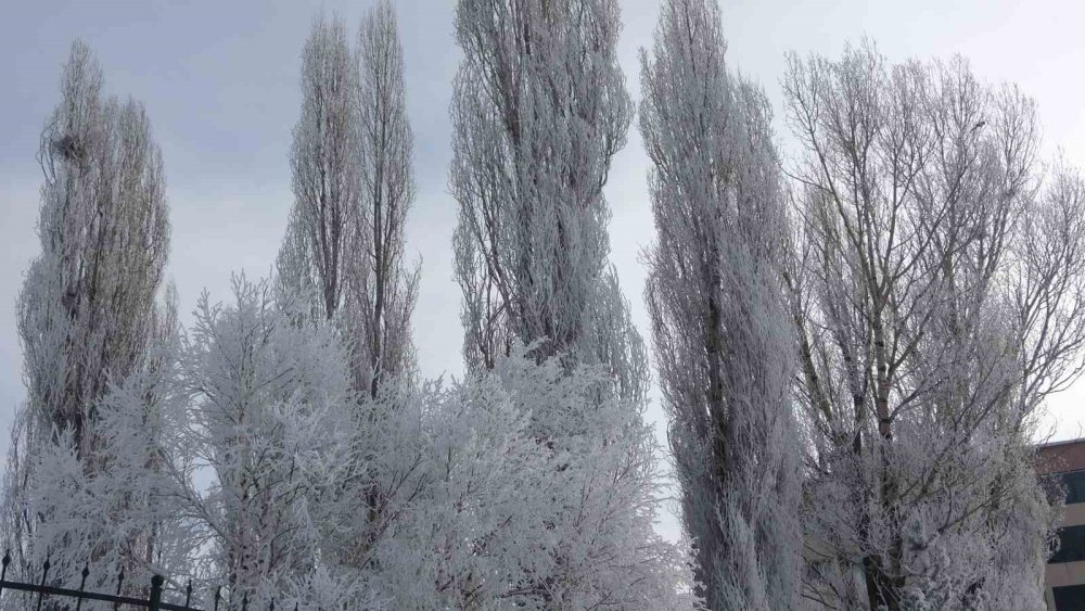 Ardahan’da Dondurucu Soğuk.. Göle’de Termometreler -24,5’i Gösterdi!