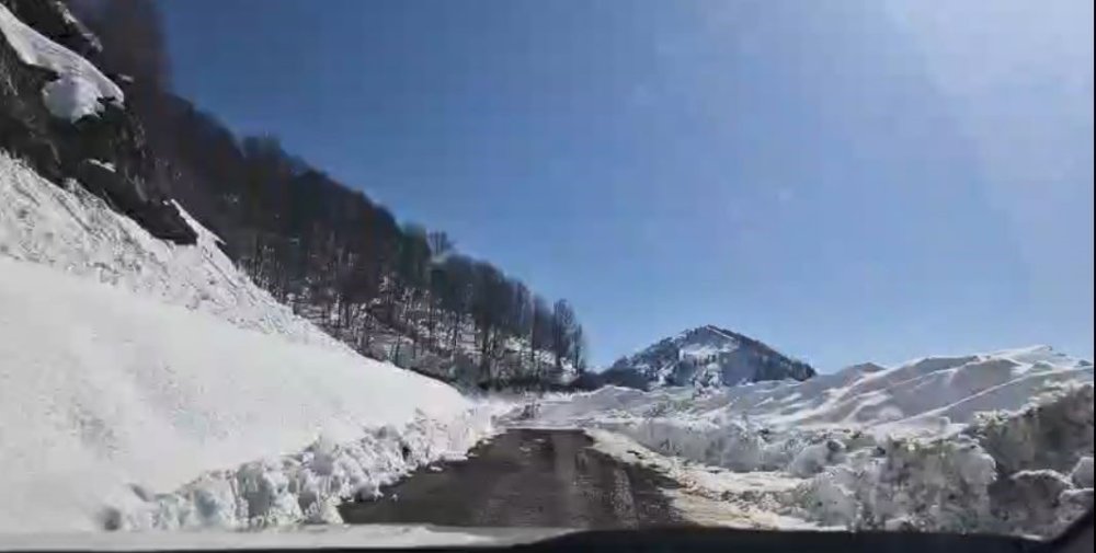 Yoğun Kar Macahel’i Kapattı.. Geçit Ekiplerin Yoğun Çalışmasıyla Açıldı!