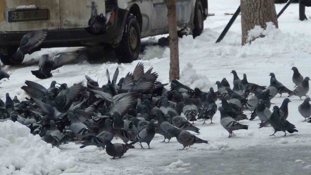 Kars’ta Kar Yağışı Sürprizi.. Kent Gece Yağan Karla Beyaza Büründü!
