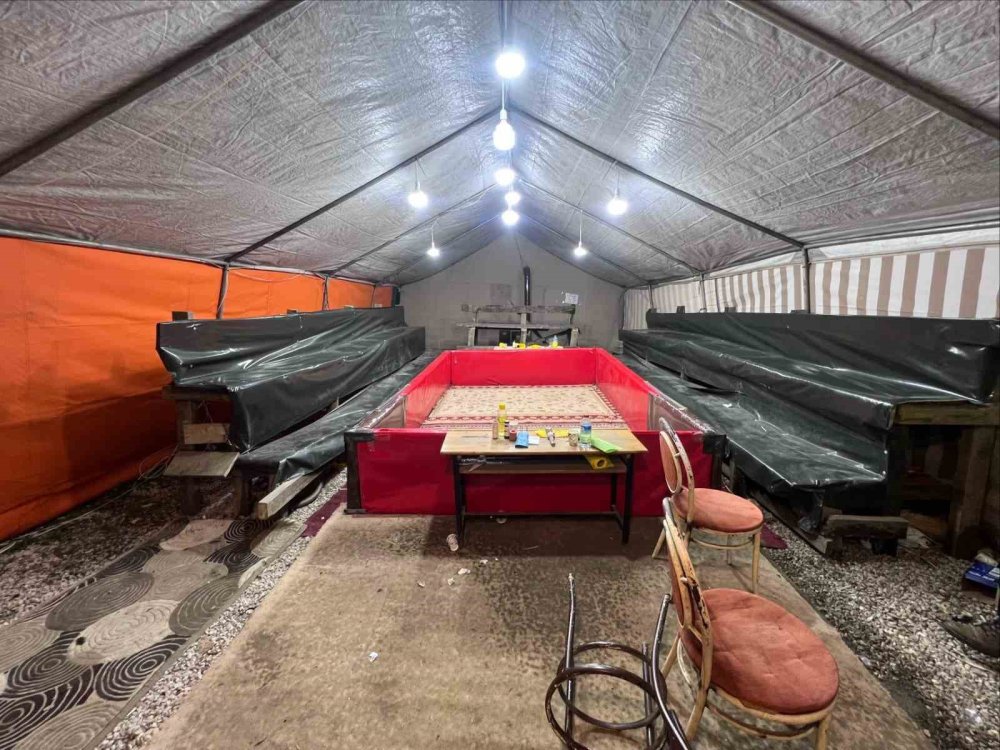 Horoz Dövüşüne Baskın: 16 Kişiye 185 Bin Lira Ceza