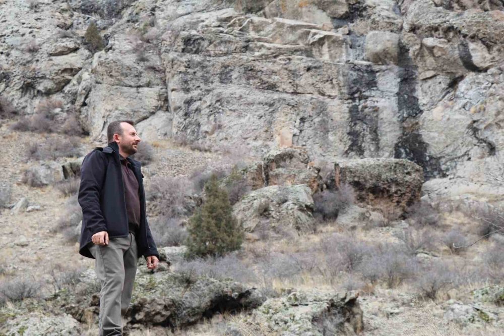 Oltu’da Yaralı (Dağ) Keçisi Koruma Altına Alındı.. Kaçak Avcılara Tepki!