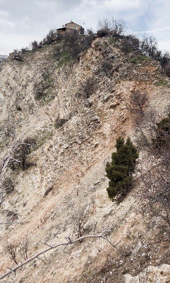 Dağ Keçileri Sürü Halinde Görüntülendi