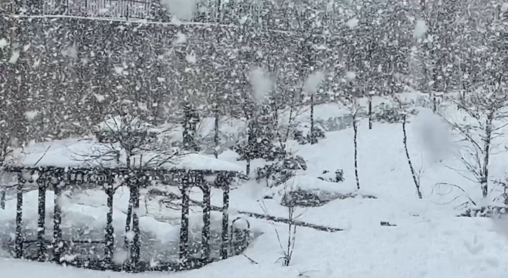 Nisan Kapıda, Kış Geri Döndü.. Yüksekova Beyaza Büründü!