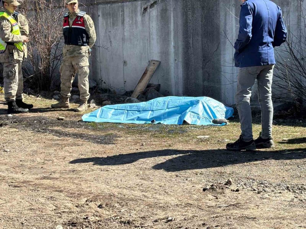 Ardahan Posof’ta Traktör Kazası; 1 Ölü