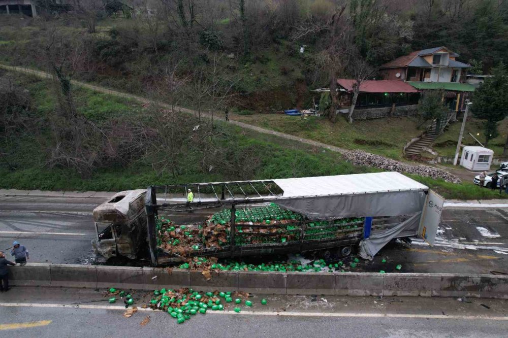 İki TIR Çarpıştı, D-650 Savaş Alanına Döndü