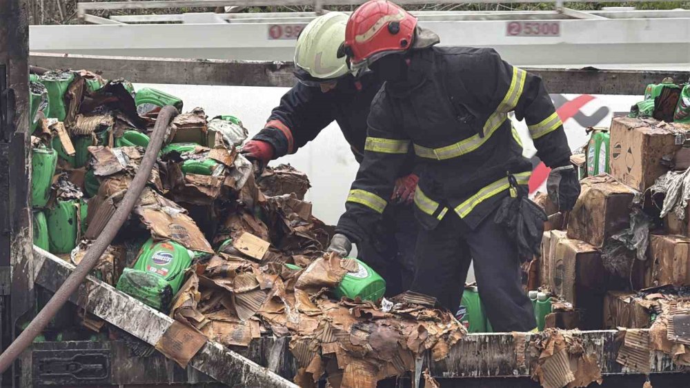İki TIR Çarpıştı, D-650 Savaş Alanına Döndü