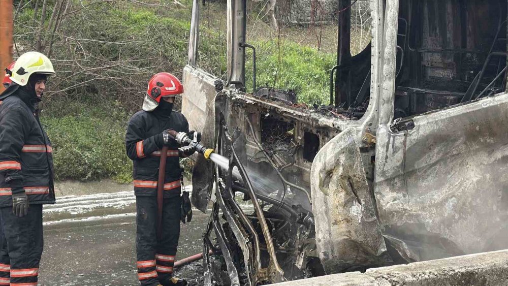 İki TIR Çarpıştı, D-650 Savaş Alanına Döndü