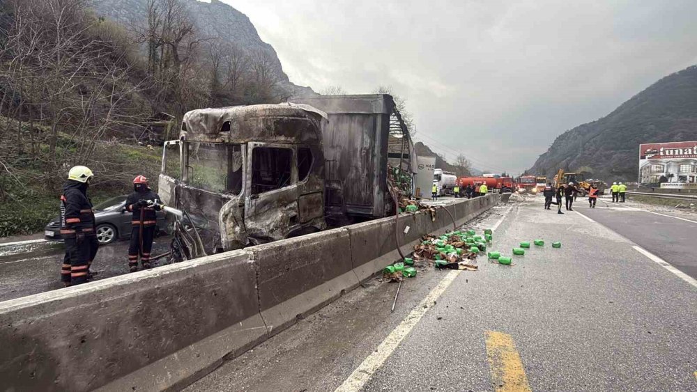 İki TIR Çarpıştı, D-650 Savaş Alanına Döndü