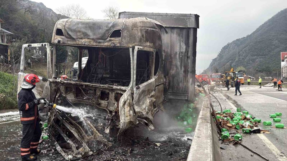 İki TIR Çarpıştı, D-650 Savaş Alanına Döndü