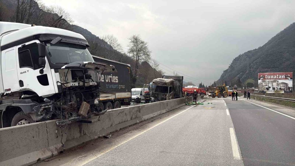 İki TIR Çarpıştı, D-650 Savaş Alanına Döndü