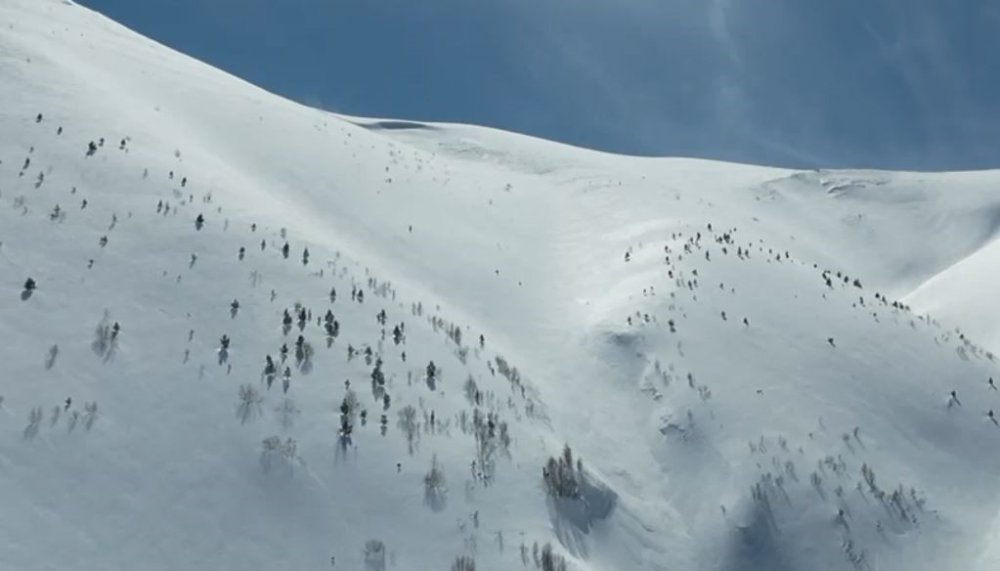 Artvin’de Çığ Faciası: Kayıp Kişi İçin Çalışmalar 86 Gündür Sürüyor