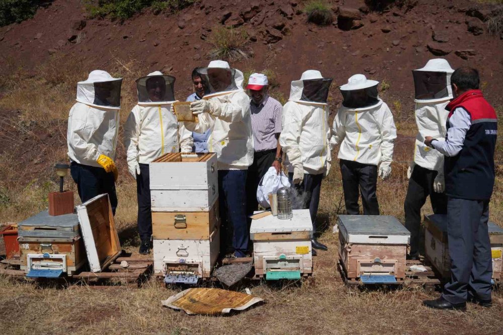 Erzincan Geven Balı Coğrafi İşaret Tescili Aldı