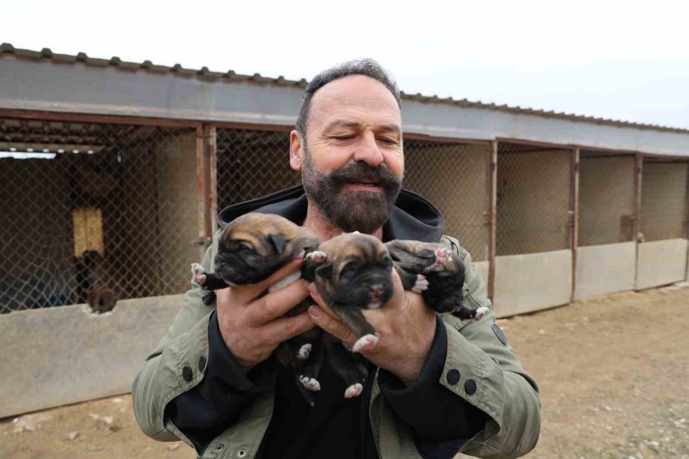 Mevsimin İlk Kangalları Dünyaya Gözlerini Açtı, Karakterleri Böyle Ortaya Çıkıyor
