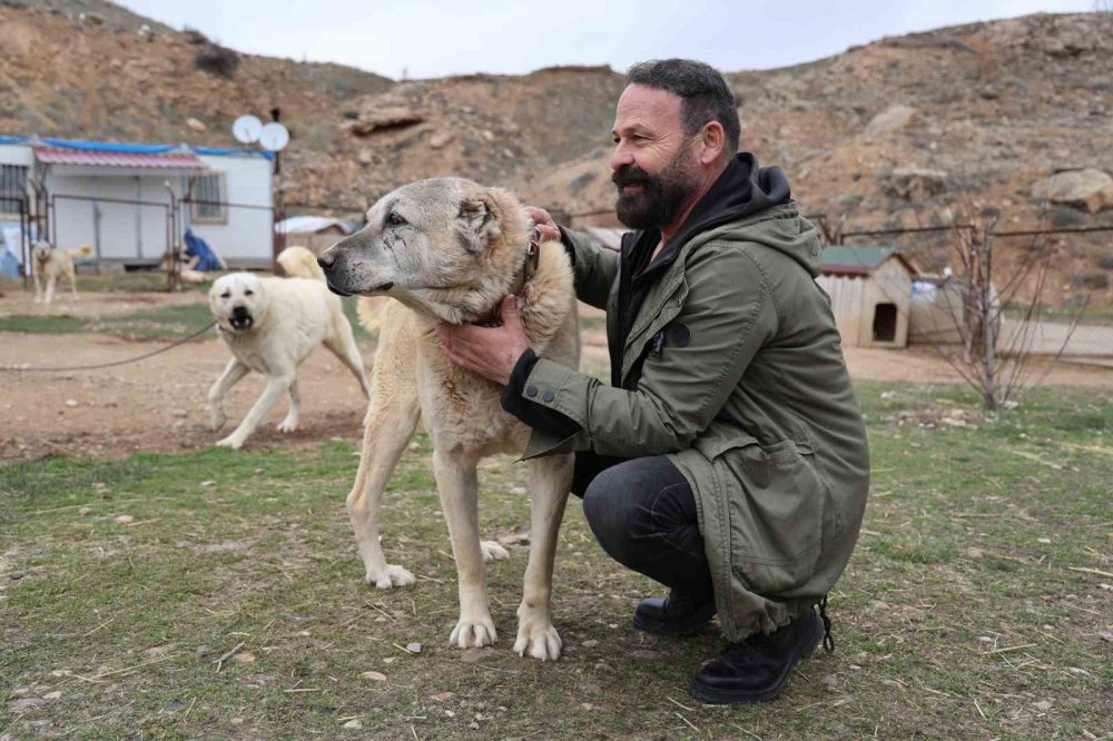 Mevsimin İlk Kangalları Dünyaya Gözlerini Açtı, Karakterleri Böyle Ortaya Çıkıyor