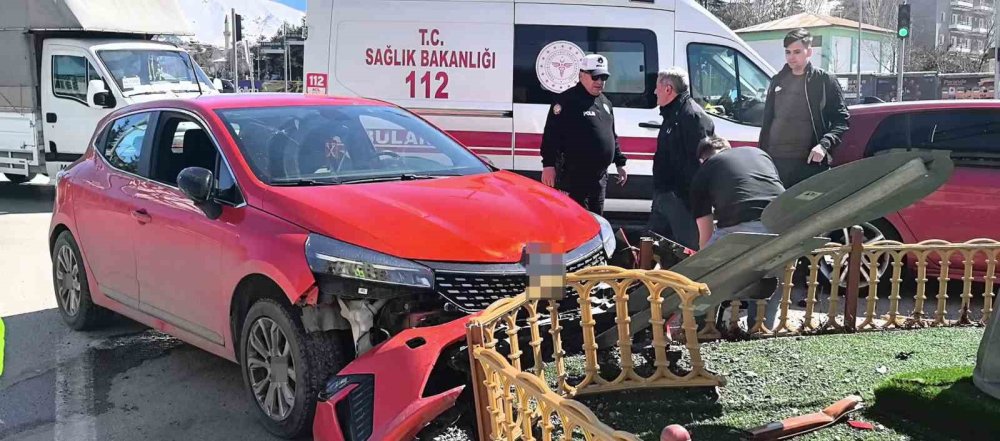 Seyir Halindeki Araçta Panik.. Köpeğin Ani Hareketi Kazaya Yol Açtı!