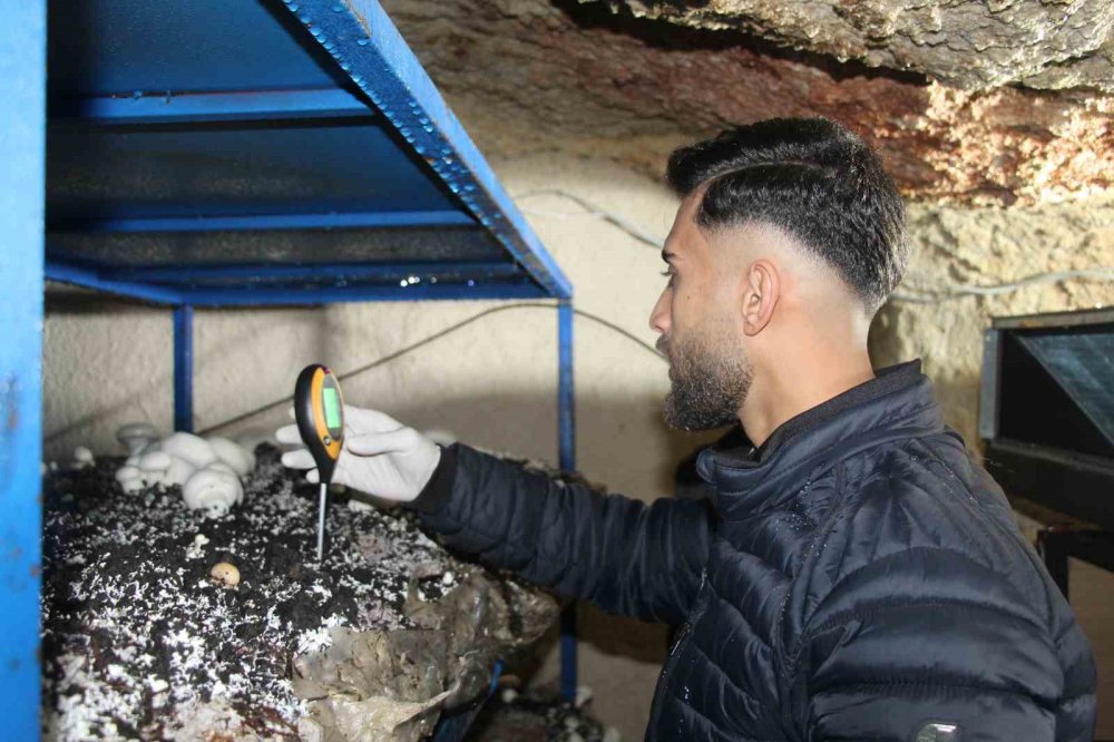 Tarihi Mağarada Mantar Üretim Tesisi Kurdu