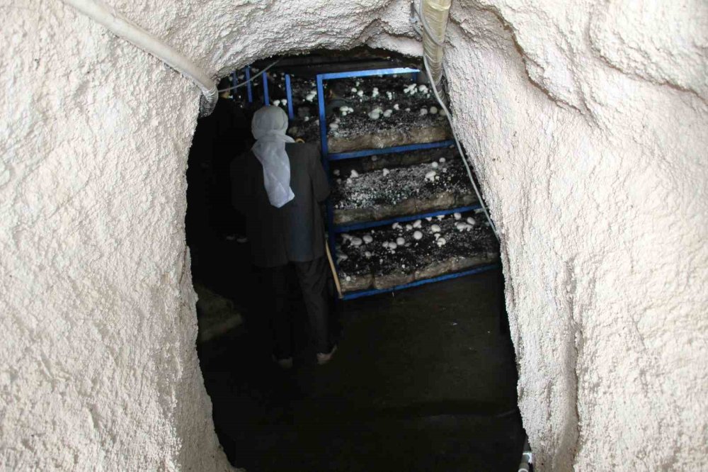 Tarihi Mağarada Mantar Üretim Tesisi Kurdu