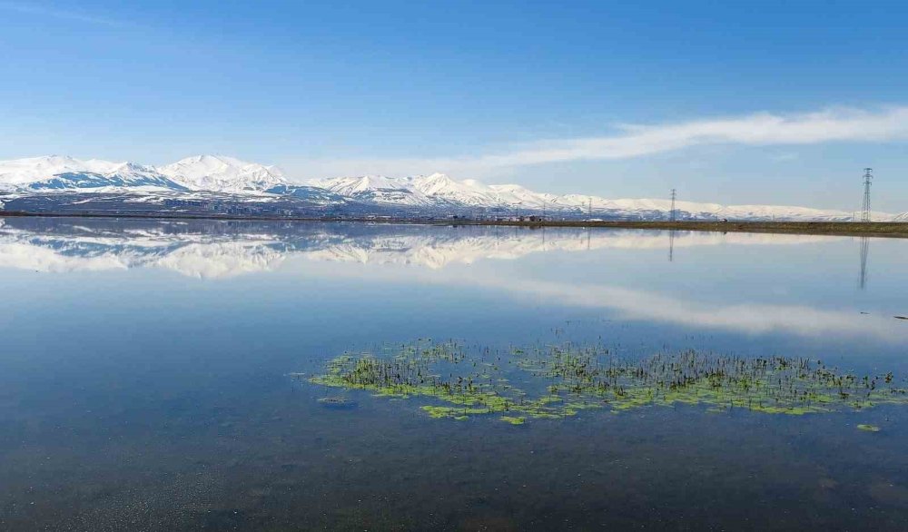 Kars ve Bölgede Don, Çığ Uyarısı.. Sis ve Buzlanmaya Dikkat!
