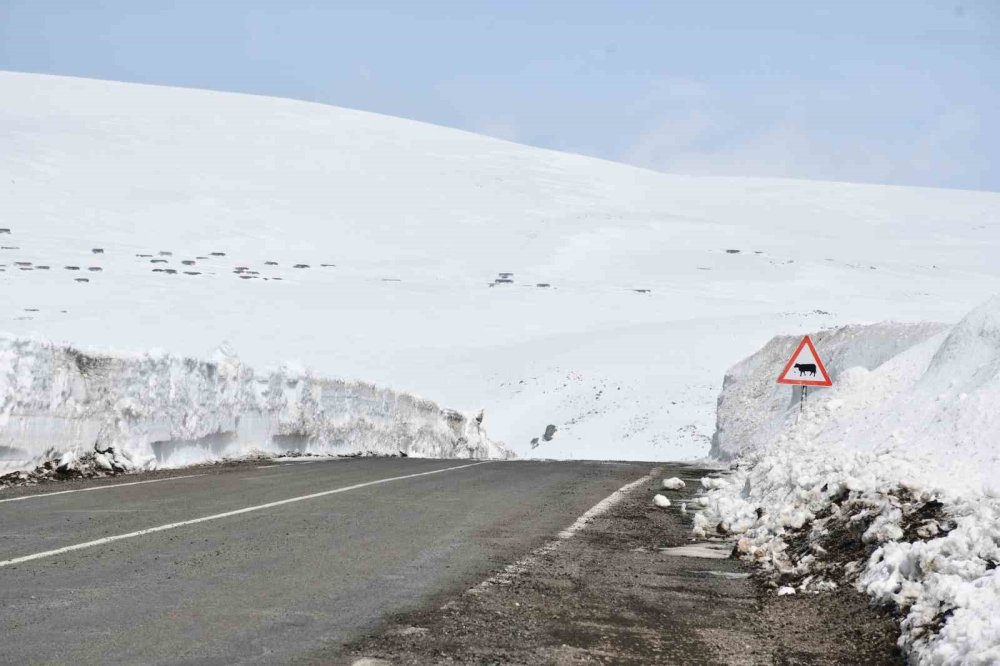 Ardahanlı Arıcılardan Dikkat Çekici Eylem.. Yolumuz Açık Kalmalı! &nbsp;