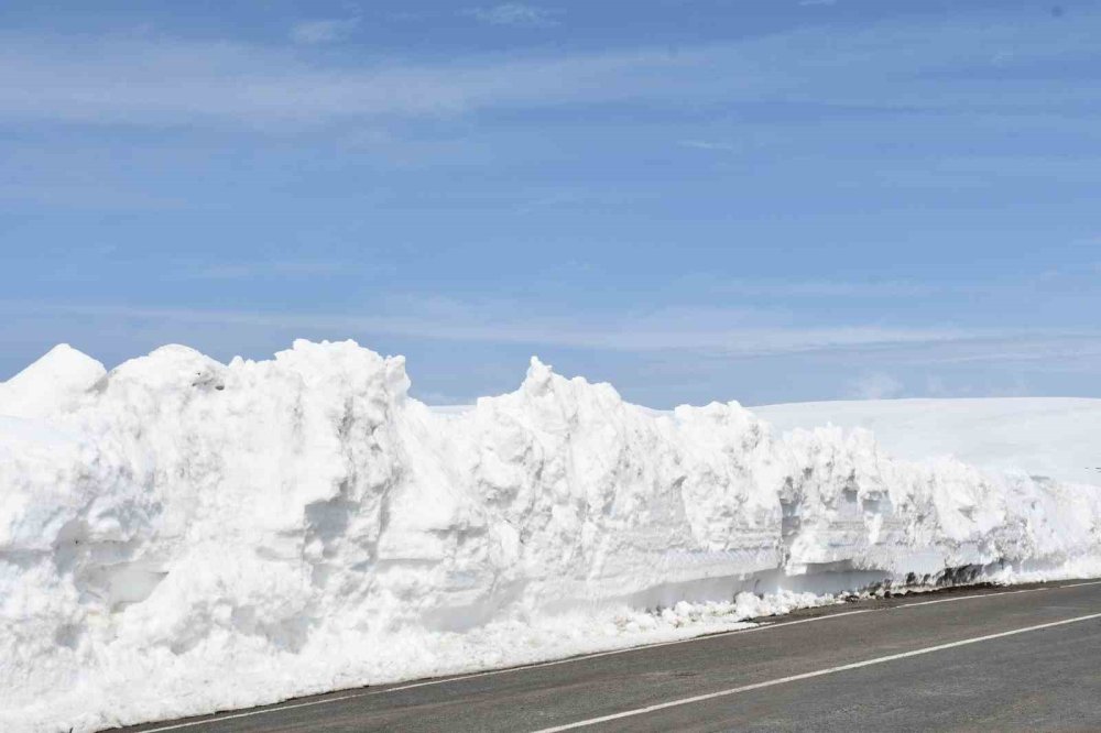 Ardahanlı Arıcılardan Dikkat Çekici Eylem.. Yolumuz Açık Kalmalı! &nbsp;