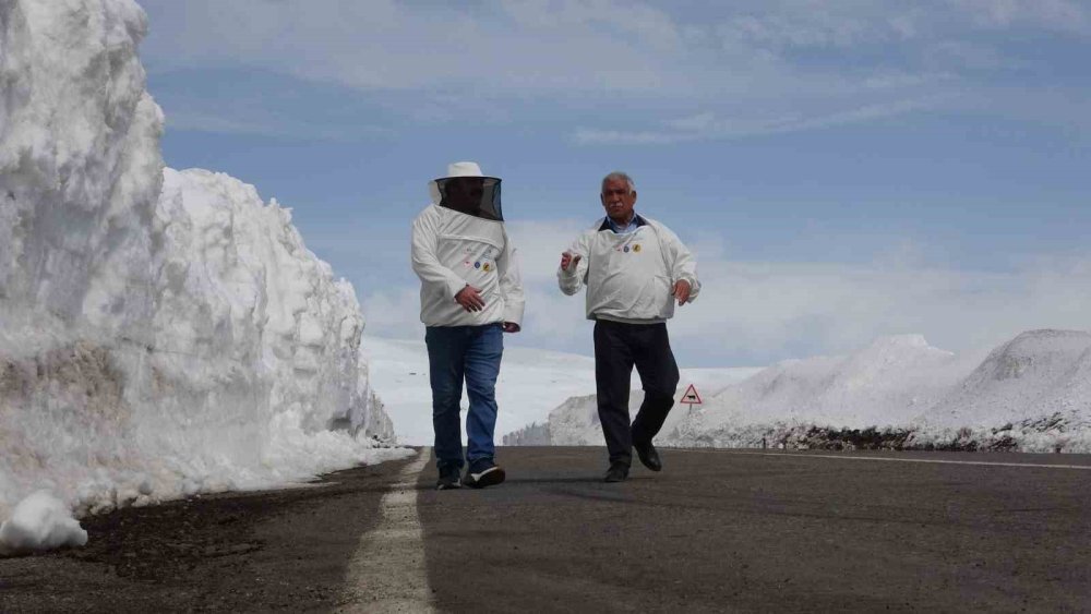 Ardahanlı Arıcılardan Dikkat Çekici Eylem.. Yolumuz Açık Kalmalı! &nbsp;