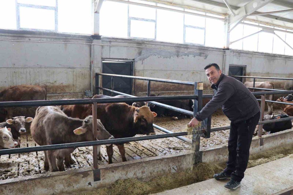 Devlet Desteği İle Kurduğu Akıllı Ahır Projesiyle Verimliliği Artırdı