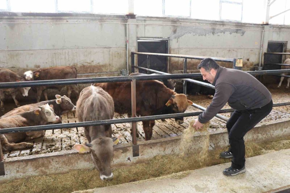 Devlet Desteği İle Kurduğu Akıllı Ahır Projesiyle Verimliliği Artırdı