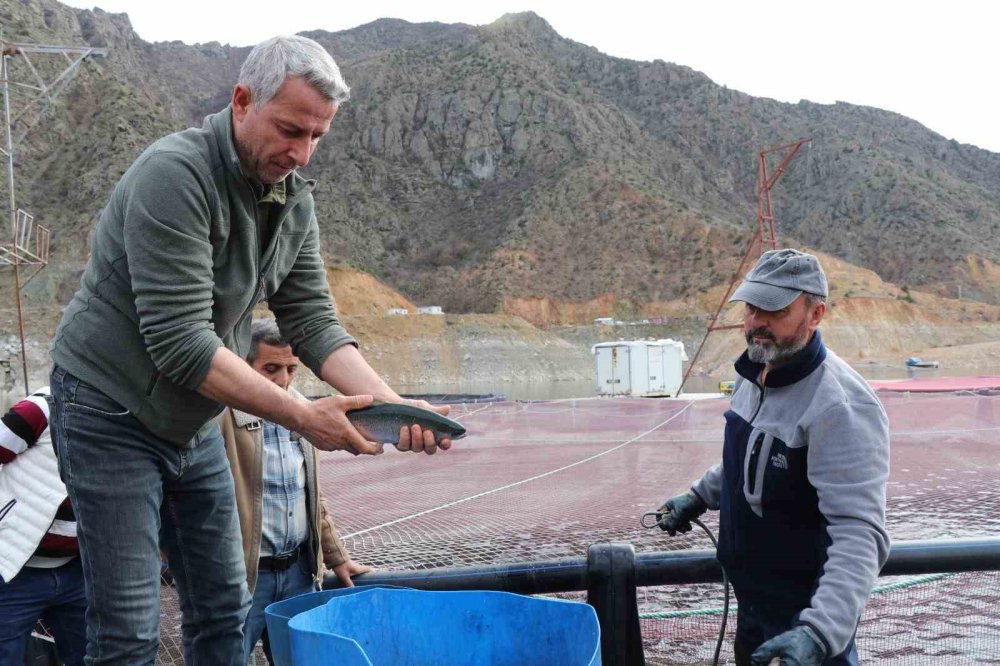 Denizi Olmayan Erzurum’da Yılda 300 Tona Yakın Balık Üretiyorlar