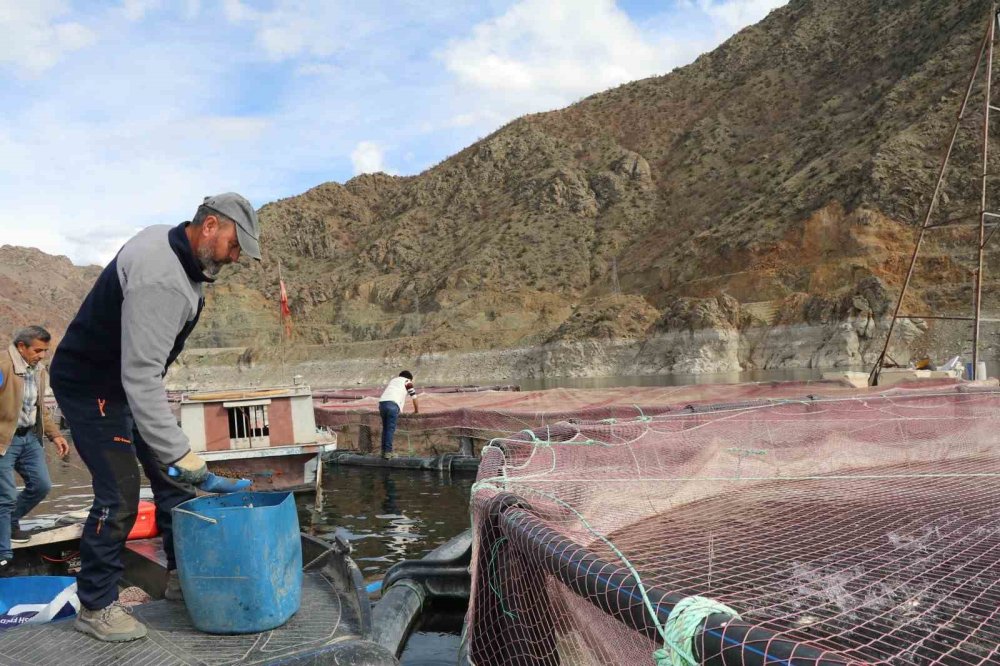 Denizi Olmayan Erzurum’da Yılda 300 Tona Yakın Balık Üretiyorlar