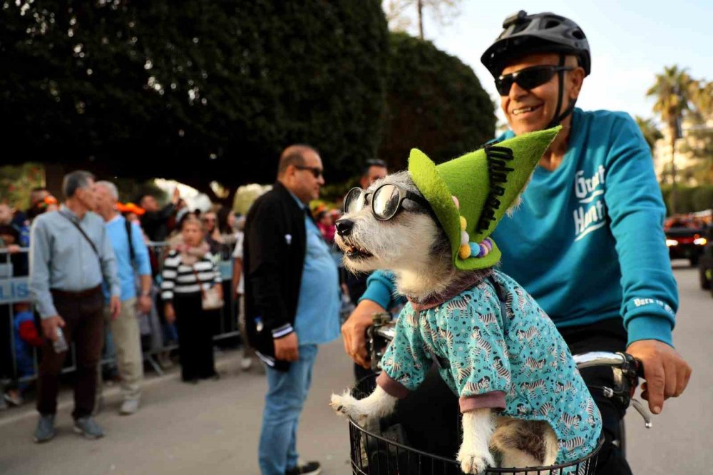 Portakal Çiçeği Karnavalı’nda Görsel Şölen.. Sokaklar Renk Cümbüşüne Döndü!