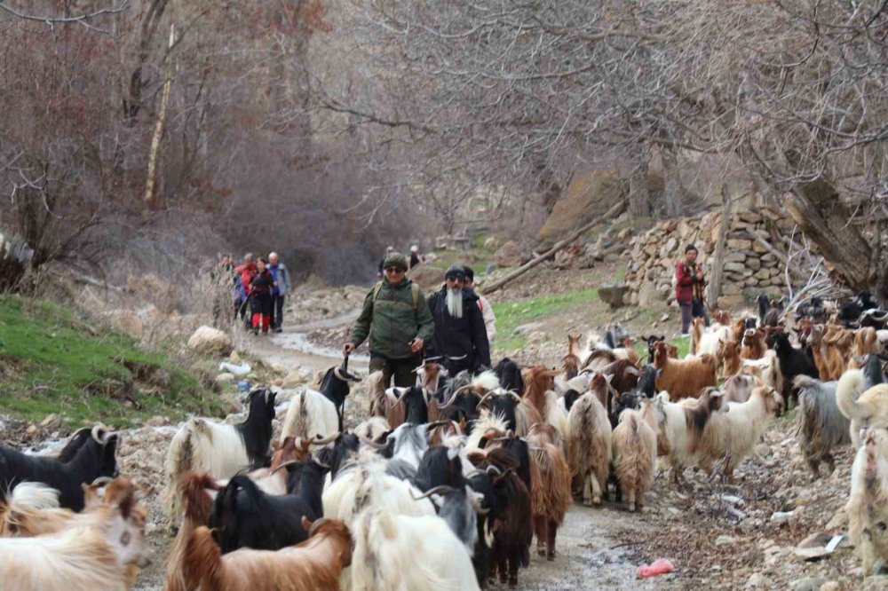 Erzurum Oltu’da ‘Doğa Tutkunları’nın Bahar Yürüyüşü