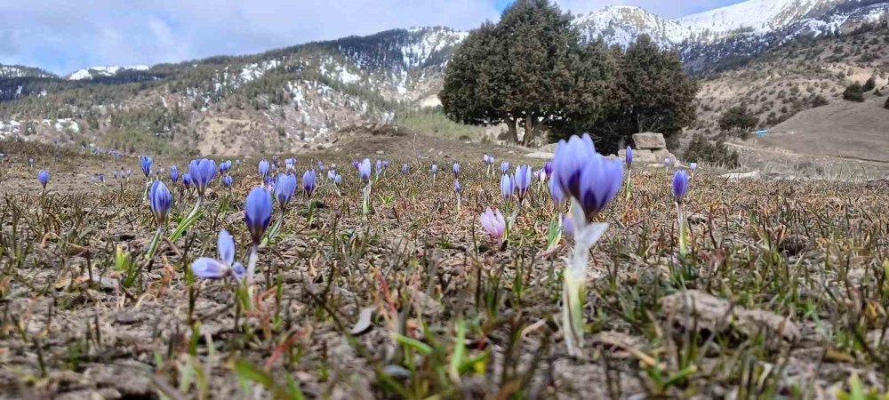 Erzurum Oltu’da ‘Doğa Tutkunları’nın Bahar Yürüyüşü