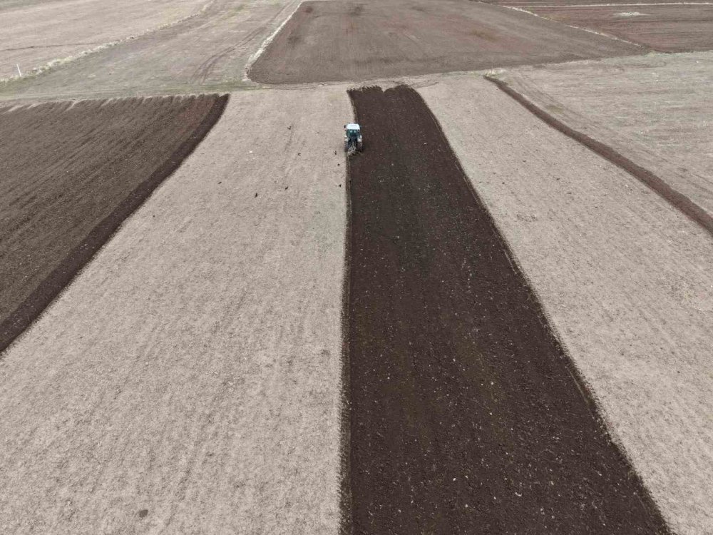 Iğdır’da Ekin Sezonu Başladı.. Üretimde Yüzde 33 Artış Beklentisi!