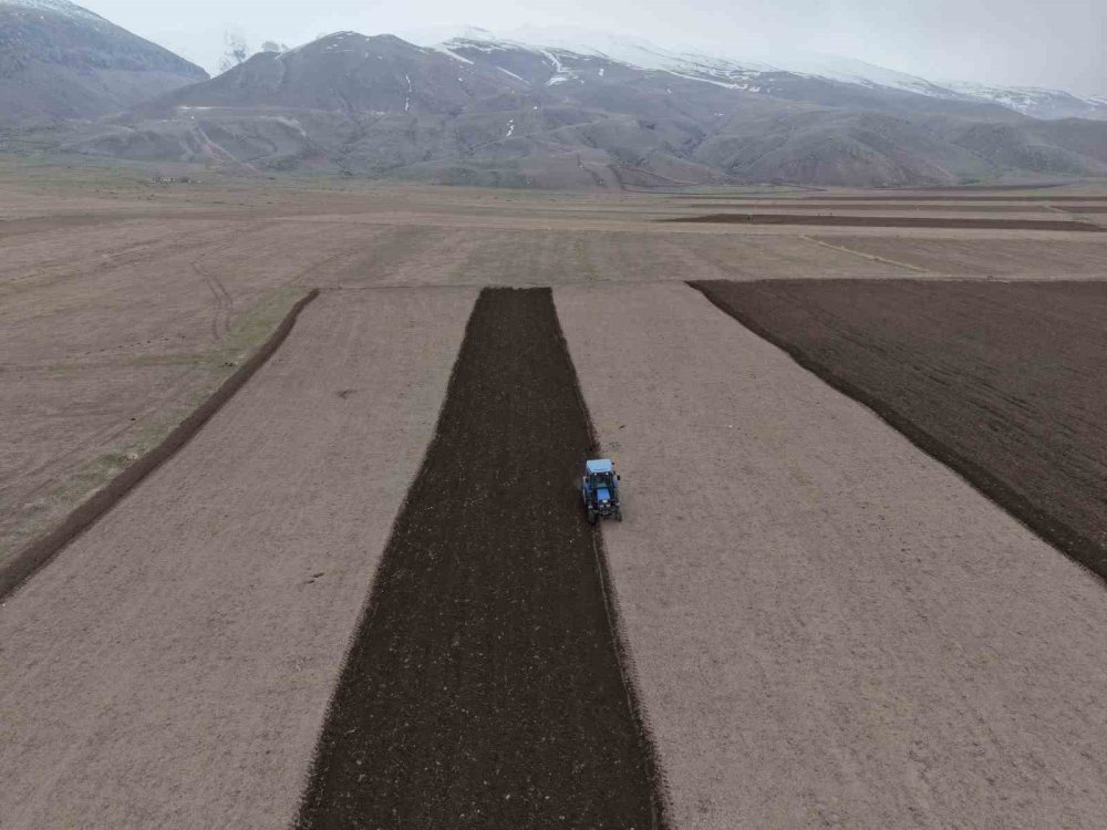 Iğdır’da Ekin Sezonu Başladı.. Üretimde Yüzde 33 Artış Beklentisi!