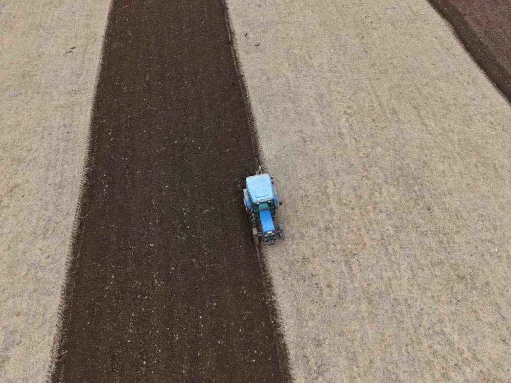 Iğdır’da Ekin Sezonu Başladı.. Üretimde Yüzde 33 Artış Beklentisi!