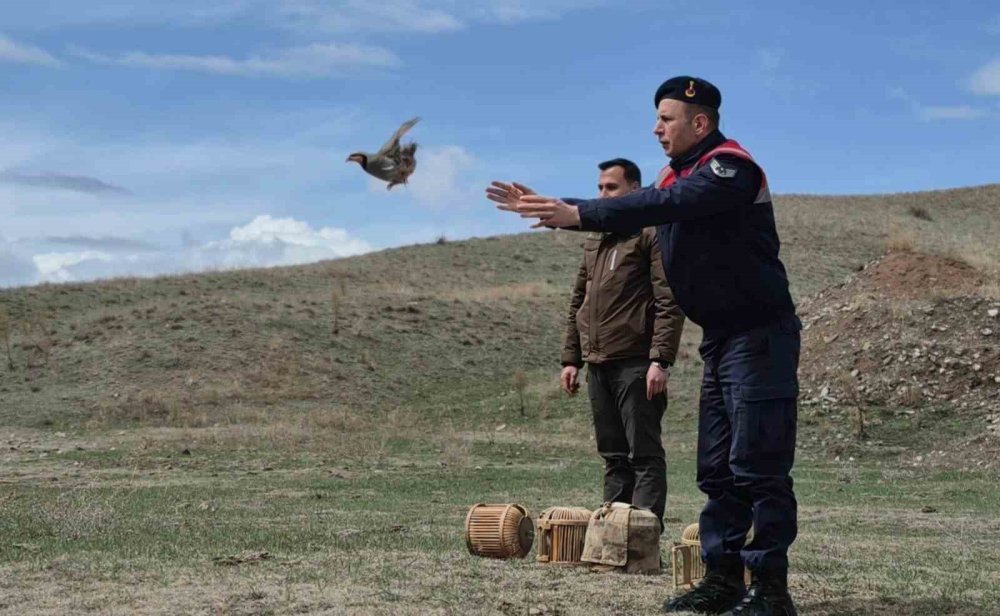 Kars’ta Kaçak Avcılara Darbe.. 11 Kişiye 921 Bin Lira Ceza!