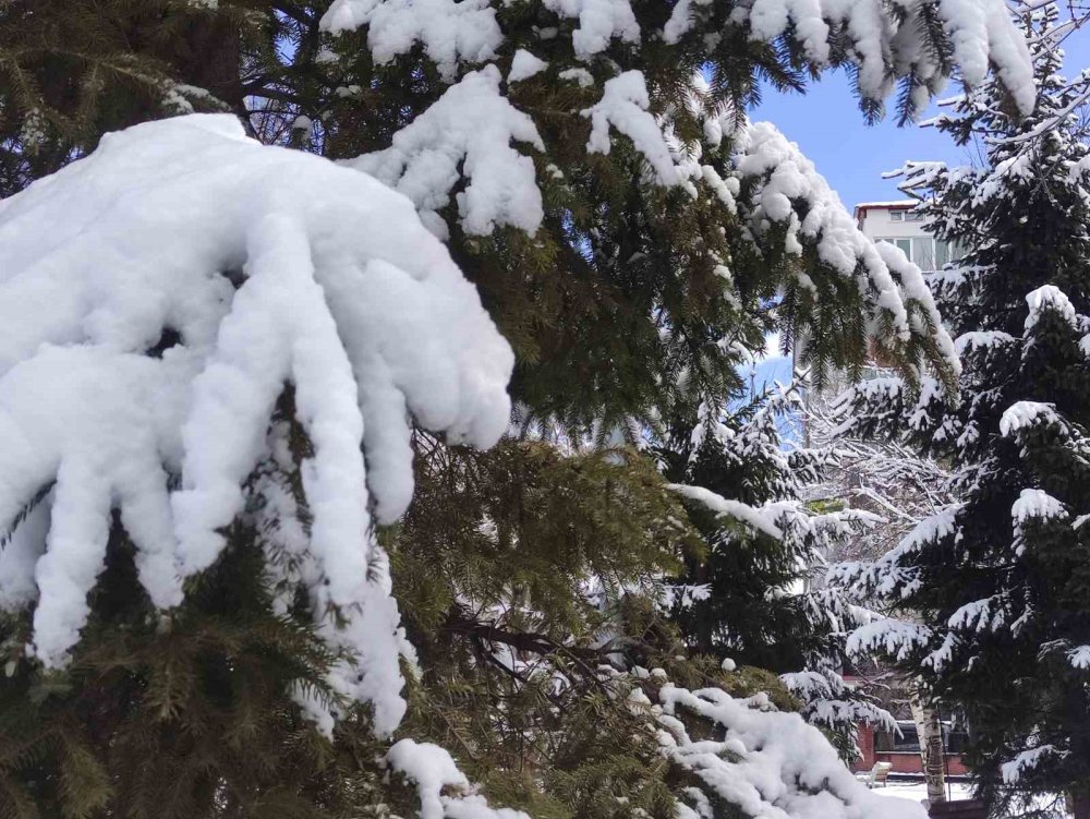 Ardahan’da Kar Kartpostallık Görüntüler Sundu