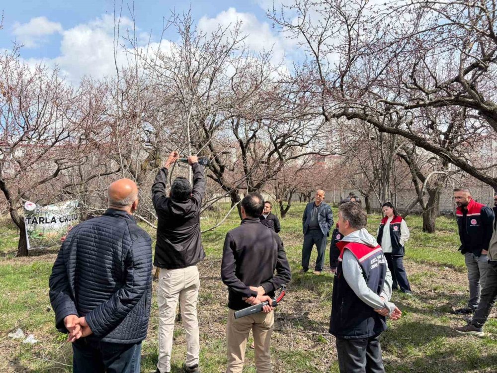 Kağızman’da Meyvecilikte Eğitim Seferberliği Sürüyor