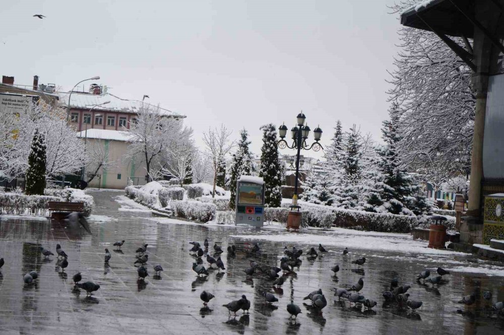 Erzurum’da Gece Boyu Kar Yağışı.. Kent Yeniden Beyaza Büründü!