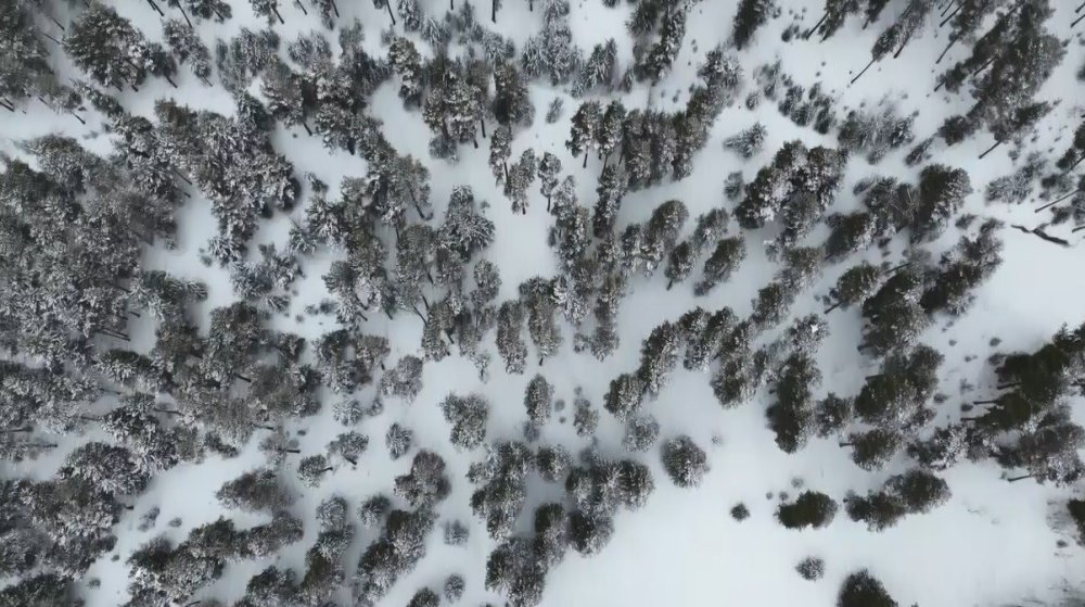 Sarıçam Ormanları Beyaza Büründü.. Sarıkamış’tan Kar Manzaraları!