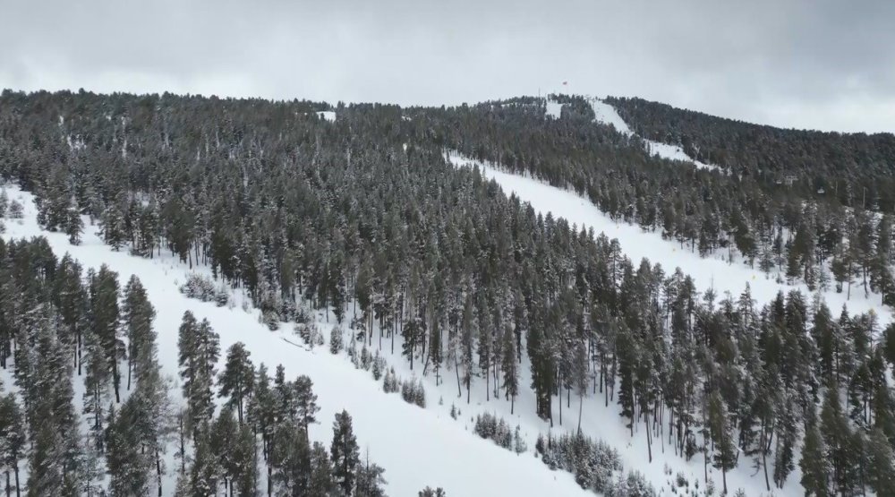 Sarıçam Ormanları Beyaza Büründü.. Sarıkamış’tan Kar Manzaraları!